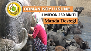 Köylünün hayatı mandayla değişiyor
