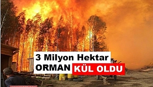 Sibirya’da 3 milyon hektar orman kül oldu