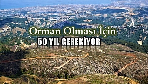 Soğukoluk Yaylası'nın eski haline gelmesi 50 yıl sürecek