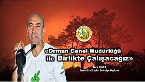 Belediye Meclisinden Orman Yangınlarıyla Mücadele Kararları