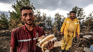 Bir Tek Ağaç Yanmasın Diye Ateşe Koşanlar
