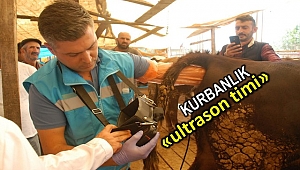 Bu tim 305 gebe hayvanın kesilmesini önlendi 