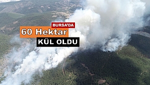 Bursa Orhaneli'de 60 hektarlık ormanlık alan kül oldu