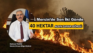 Orman Bölge Müdürü Yılmaz; 