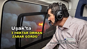 Uşak'ta havadan ve karadan yapılan müdahale ile yangın kontrol altına alındı 