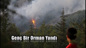 Kaş'taki orman yangını 6 saat sonra kısmen kontrol altında