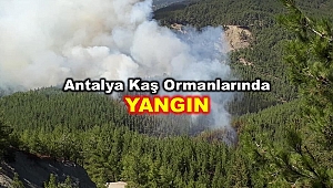  Saat 15.00 sıralarında başladı havadan karadan mücadele devam ediyor