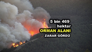Tarım ve Orman Bakanlığı : 