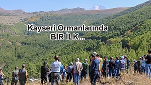 Titrek Kavak Ağacı Çalıştayı Yapıldı