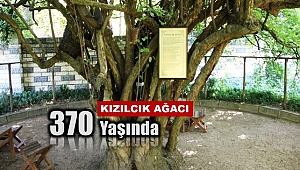 Yıllara Meydan Okuyor