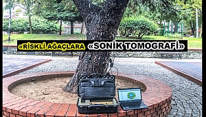  Orman Fakültesi ve Belediye İş Birliği ile Riskli Ağaçlar Belirleniyor