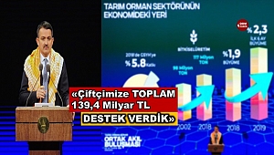 Bakan Pakdemirli: