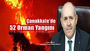 Çanakkale’de 2019 yılında 52 orman yangını çıktı