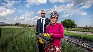 İzmir ve Manisa'da Yüz Binlerce Fidan Geleceğe Nefes Olmak İçin Gün Sayıyor