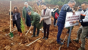 Muğla'da 500 öğretmen 2 bin fidan dikti