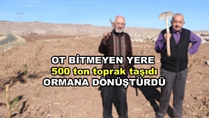Ot bitmeyen yeri taşıma toprakla ormana dönüştürdü