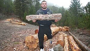 Sakat bırakan tomruk onu Halter Şampiyonu yaptı