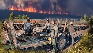 Tavşanlı'da Yanan Orman Alanı Küllerinden Yeniden Doğacak