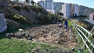 Tıbbi Ve Aromatik Bitkiler Yetiştiriciliği Kursu ile Narlıdere Lavanta Kokacak