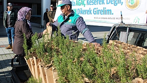 2020'ye 2020'şer fidan