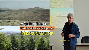 Ağaçlandırmayı kısıtlayan etmenler tartışıldı