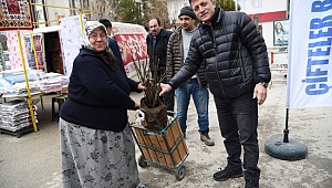Eskişehir Orman Bölge Müdürlüğü 100 bin ceviz fidanı dağıttı