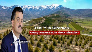 “KAÇAK FİDAN KESENE 10 YILA KADAR HAPİS CEZASI VAR”