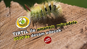  Laboratuvarda Zararlı Tırtıllar İçin Yırtıcılar Üretilmeye Devem Ediyor