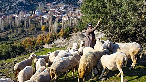 Meraları Vardı Hayvanları Yoktu Onu da ORKÖY Verdi