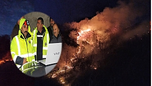 Ordu Ünye'de 100 hektar alan kül oldu