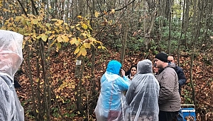 Rusya ve Gürcistan'dan gelen heyet kestane ormanlarını inceledi
