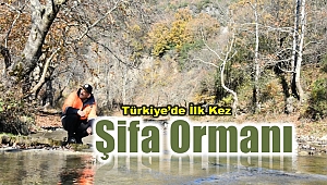 Türkiye’de ilk kez Samsun’da kurulacak