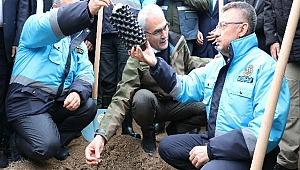 Yozgat'ın Trüf Ormanı'na İlk Fidan Cumhurbaşkanı Yardımcısından 