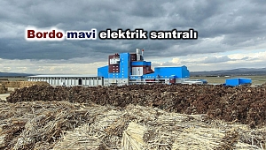 Bitki ve orman ürünleri atıkları ile elektrik üreten santral