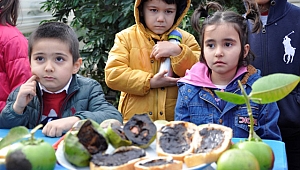 Dalından çikolata toplayıp ekmeğe sürüp yediler