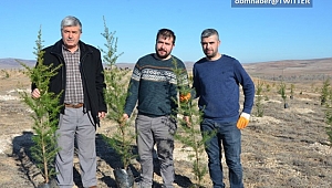 Emekli maaşıyla 200 bine yakın fidanı toprakla buluşturdu