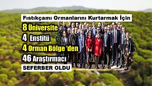 Fıstıkçamı Ormanlarındaki Dumansız Yangın İçin Büyük Seferberlik Devam Ediyor