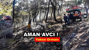İyice söndürülmeden bırakılan avcı ateşi ormanı yaktı