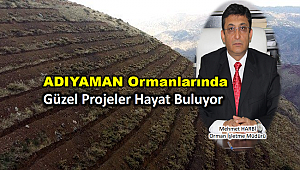 Projeler İçin 8 milyon 770 bin 170 TL Harcandı 
