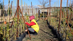 Yeşil bir Mardin için bitki ve fidanlarını kendileri üretiyor