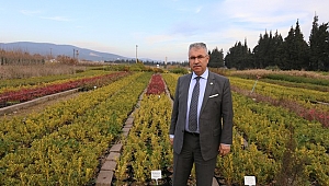 Türkiye Ormanlarının Fidan Fabrikası : Torbalı Orman Fidanlığı