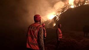 Arhavi'deki orman yangını kontrol altına alındı
