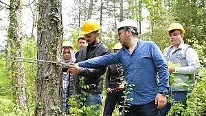 Bartın Üniversitesi mezunu 193 öğrenci OGM'ye atandı