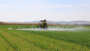 Boş Tarla Çiftçiyi Zengin Ediyor Nasıl mı ?