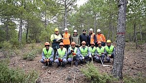 Genç Ağaçların Bakımı Ormanın Geleceği ve Verimi İçin Önemli 