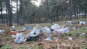 Kazdağları 'piknikçilerin' tehdidi altında
