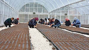 Kızıltepeli kadınlar Dünya Kadınlar Günü'nde kooperatif kurdu