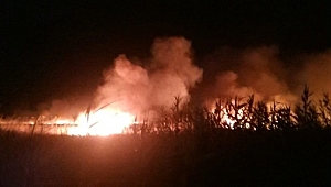 Kuşların yumurtlama döneminde Göksu Deltasında yangın çıktı