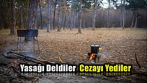 Piknik yapıp, mangal yakan 4 kişiye bin 568 lira ceza