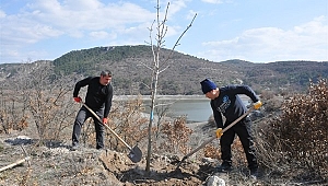 Porsuk mesire alanı ağaçlandırılıyor